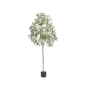 Realistic Faux Olive Tree - Thumbnail Image 2