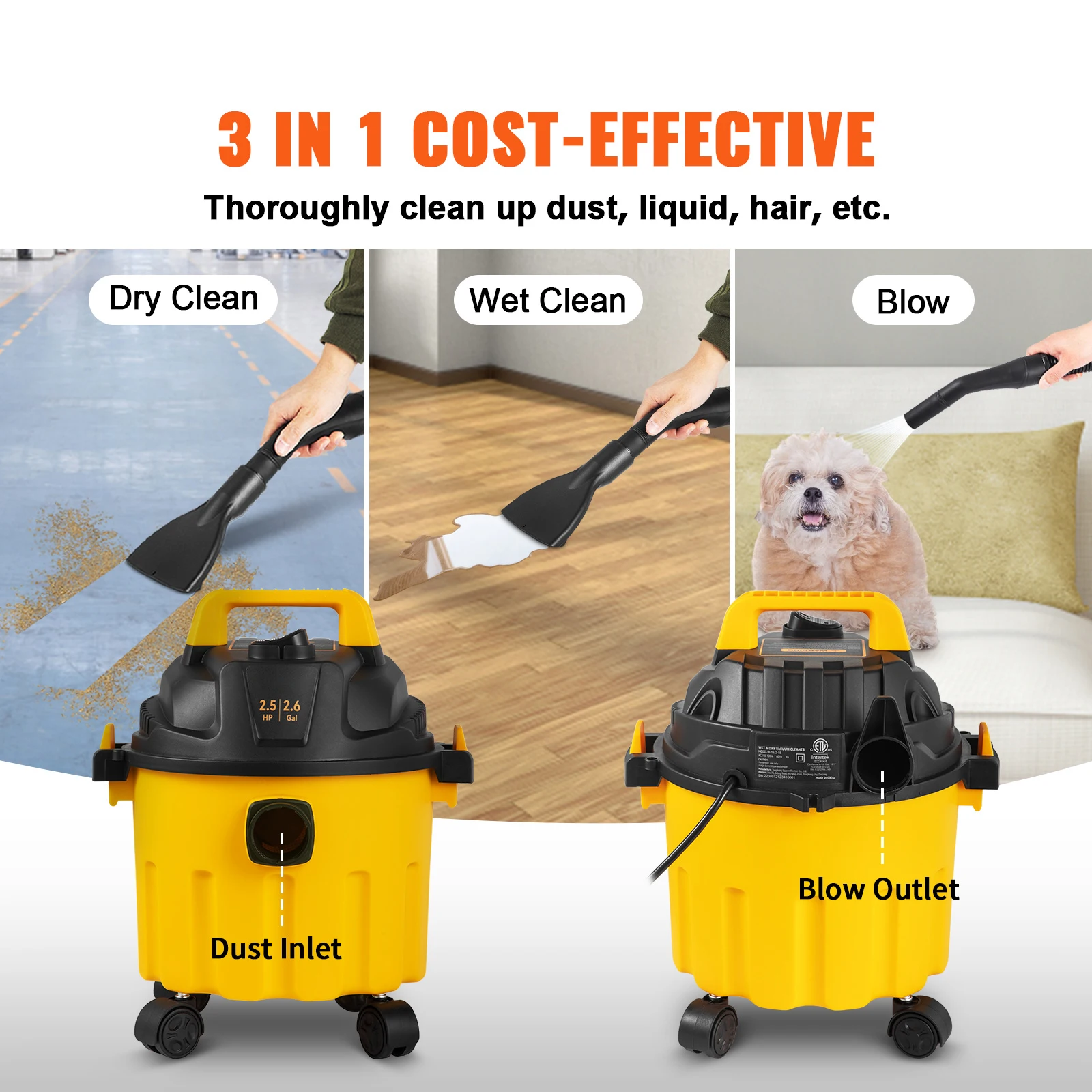 Compact Wet Dry Vacuum - Image 3